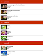 เพลงธรรมะ บทสวดมนต์ ฝึกสมาธิ capture d'écran 1