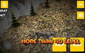 Leopard Life Affiche