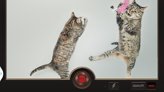 슬로 모션 비디오 효과 스크린샷 5