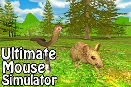 Simulador de mouse final imagem de tela 1