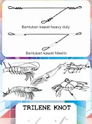 繩釣魚教程 截圖 4