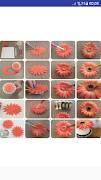 Origami Flower Tutorial 截图 3