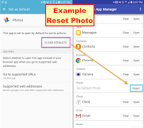 Default App Manager imagem de tela 3
