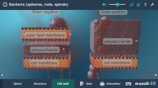 Bacteria interactive educational VR 3D স্ক্রিনশট 4