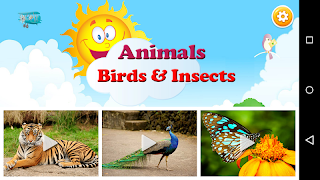 Animals Learning ポスター