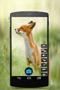 HD Camera 3D ภาพหน้าจอ 7