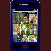 Лучшее видео редактор постер