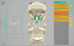 Virtual Cranium screenshot 6