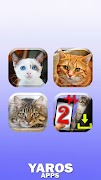 Cat Translator Simulator screenshot 4