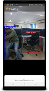 TensorFlow Lite Object Detection Demo 2019 Screenshot 1