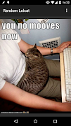 Random Lolcat 스크린샷 3