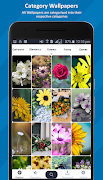 Fotolia (4k HD wallpapers & backgrounds) تصوير الشاشة 1