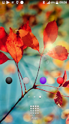 برنامه‌نما WidgeApp: Folder Widgets عکس از صفحه