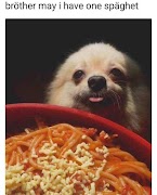 Dank Memes 截图 2