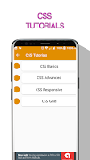 Learn CSS Pro - Offline Program Run تصوير الشاشة 1