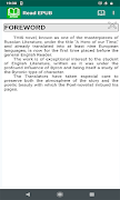 Read EPUB screenshot 7