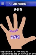 유형별 손금 해석 스크린샷 3