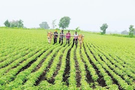 Agri Status :ऍग्री स्टेटस -वावर हाय तर पावर हाय 截圖 1