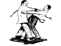 exercice de Wing Chun capture d'écran 3