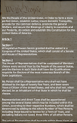 U.S. Constitution imagem de tela 1