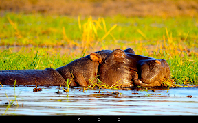 Science360 اسکرین شاٹ 2