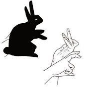 Hand Shadow Arts ภาพหน้าจอ 4