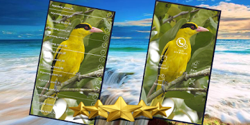 Masteran Kepodang : Suara Burung Kepodang Gacor screenshot 1