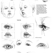 Tutoriales Ojos De Dibujo captura de pantalla 4