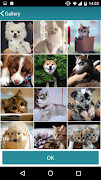 SlideShow Maker ภาพหน้าจอ 1