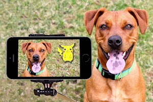 Pocket Camera Go screenshot 4