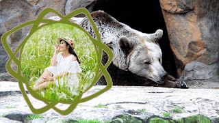 Khung ảnh động vật - Ghép ảnh động vật đẹp โปสเตอร์