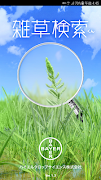 雑草検索くん poster