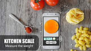 Pocket Scale Simulator ảnh chụp màn hình 4