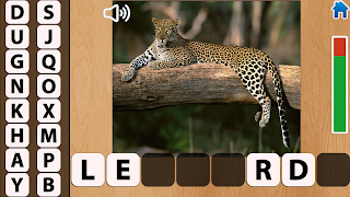 Animals 스크린샷 3