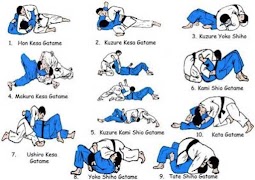 MMA Techniques screenshot 2