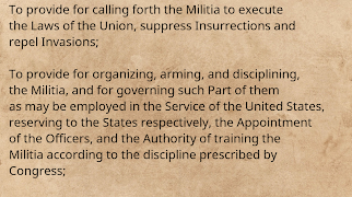 US Constitution ảnh chụp màn hình 1