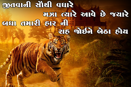 Status King 2018 screenshot 6