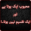 Sad Urdu Poetry  2018 APK