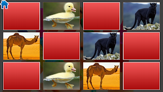 Animals screenshot 4