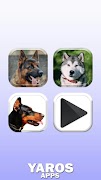 Dog Translator Simulator screenshot 4