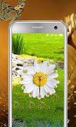 Daisy Flower Clock 截圖 1