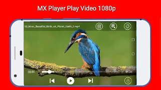 MX Player Full HD Player 스크린샷 4