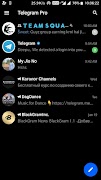 Telegram Pro পোস্টার