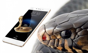 snake on screen スクリーンショット 1