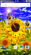 Sunflower Clock 截图 3