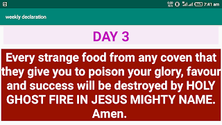 weekly declaration اسکرین شاٹ 5