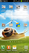 Snail on screen 포스터