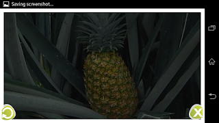 مجموعة الفواكه Screenshot 5