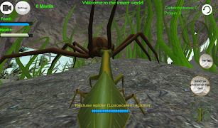Praying Mantis Simulator 3D โปสเตอร์