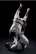 Jiu jitsu poster